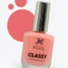 InColor Classy Nail Paint