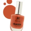 InColor Classy Nail Paint