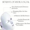 SHILLS PROFESSIONAL Hydra-Facial Sheet Mask